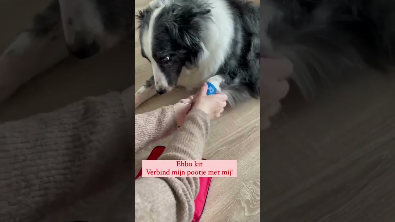 TraumaPet Verzorgingskit | Pootje verbinden | Altijd goed voorbereid op stap met de EHBO-Kit!
