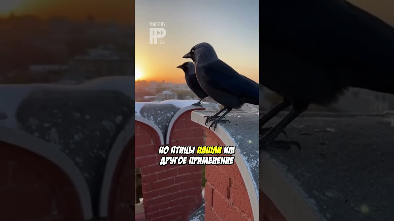 Shock! What's Hidden Behind the Kremlin Wall?