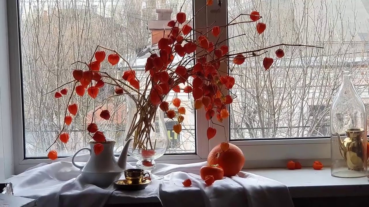 Солнце ноября. Натюрморт на окне. Физалис и тыква