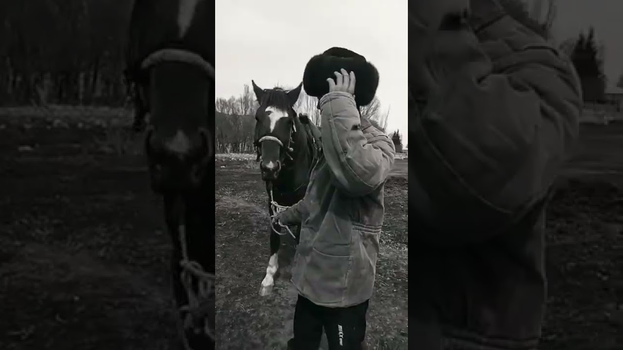 23-апрель автордук укук жана бүткүл дүйнөлүк китеп күнүнө карата Алыш орто мектебинин видеоматериалы