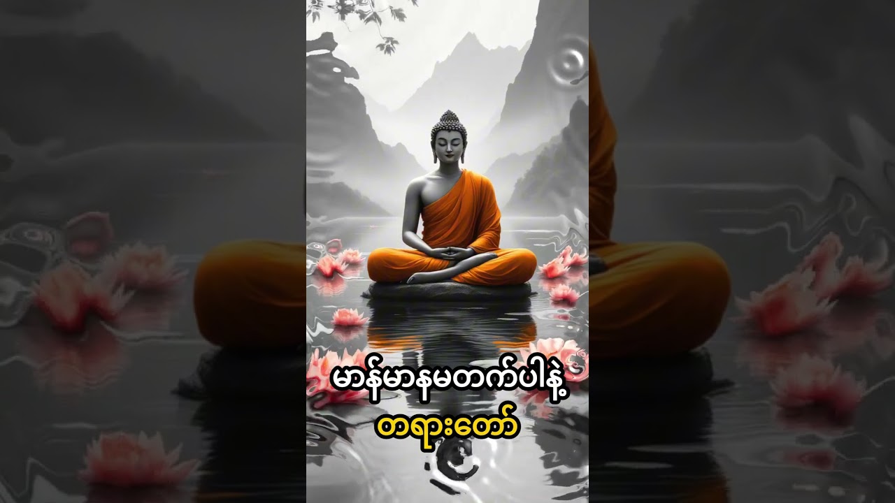တရားတော်များ🙏 နာယူကြပါဗျို့