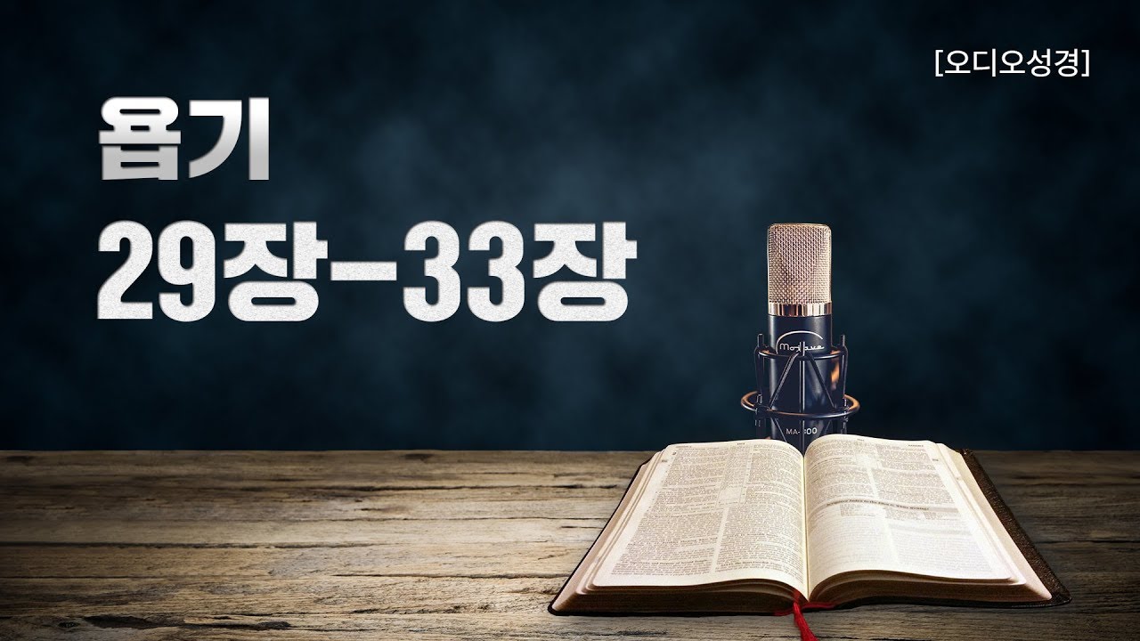 [오디오성경]욥기 29장 30장 31장 32장 33장 | 조정민 목사