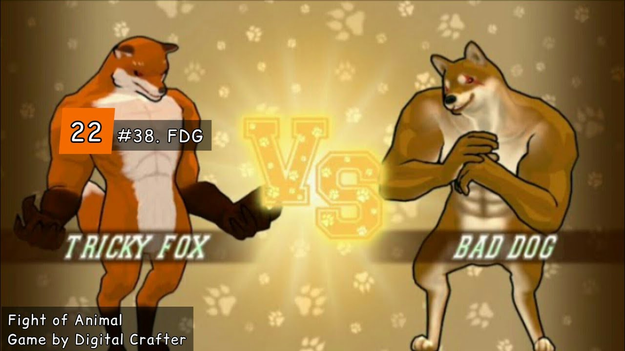 Tricky fox vs Bad dog / fight of animals
