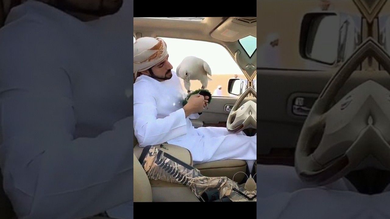 Sheikh hamdan Dubai Prince kindness king with eagle#dubai #trending #youtubeshorts #shorts