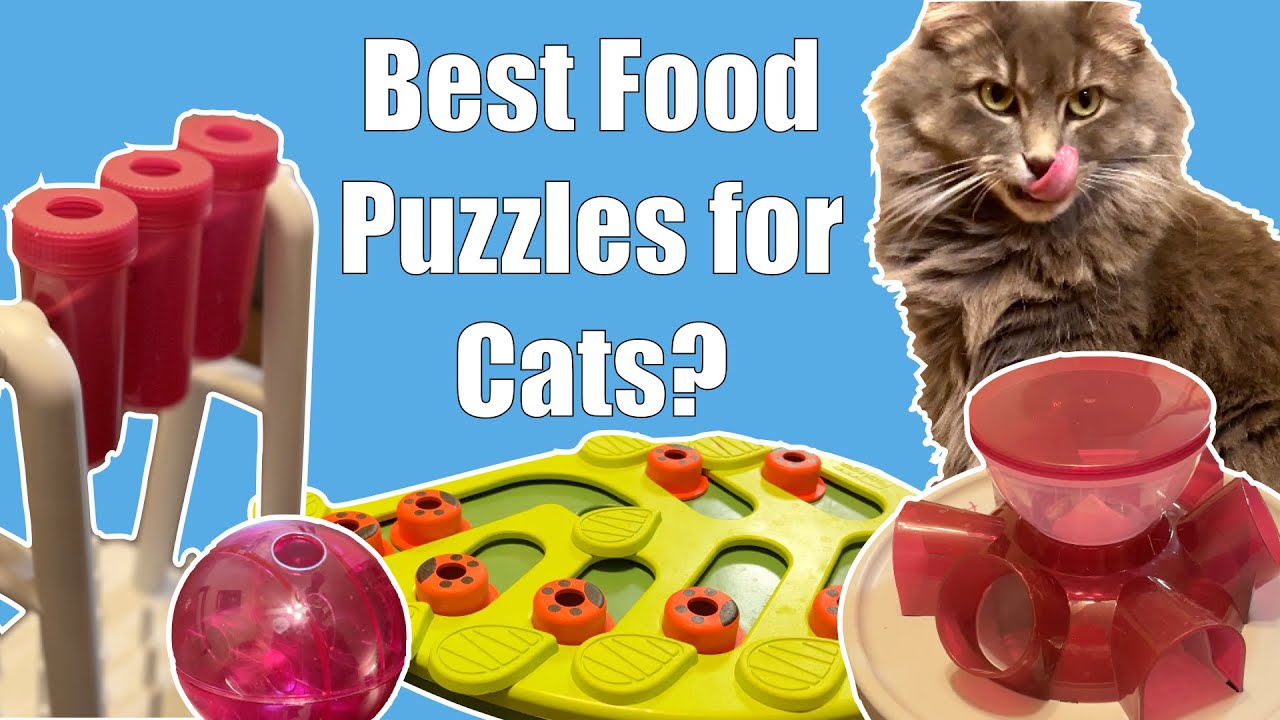 Best Cat Food Puzzles? We tried them all!