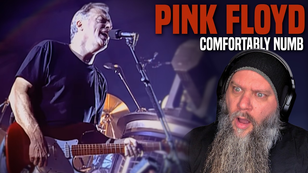 First Time REALLY Hearing Pink Floyd! - Comfortably Numb Reaction