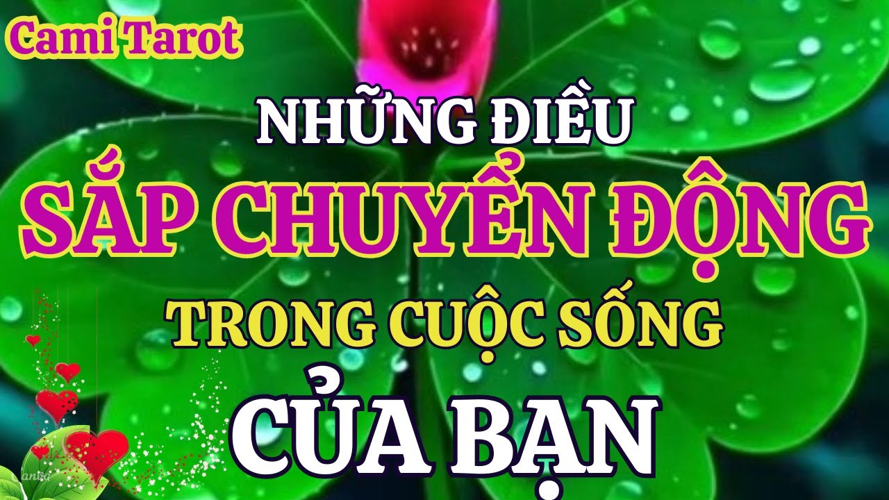 Những điều sắp bắt đầu chuyển động trong cuộc sống của bạn @tarot