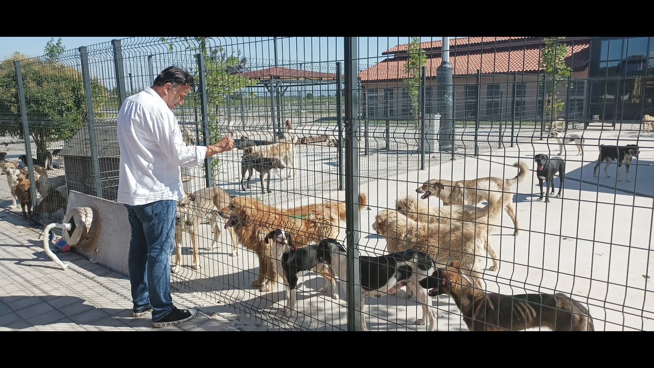 Sakarya Büyükşehir Belediyesi'nden Sokak Hayvanları Hastanesi