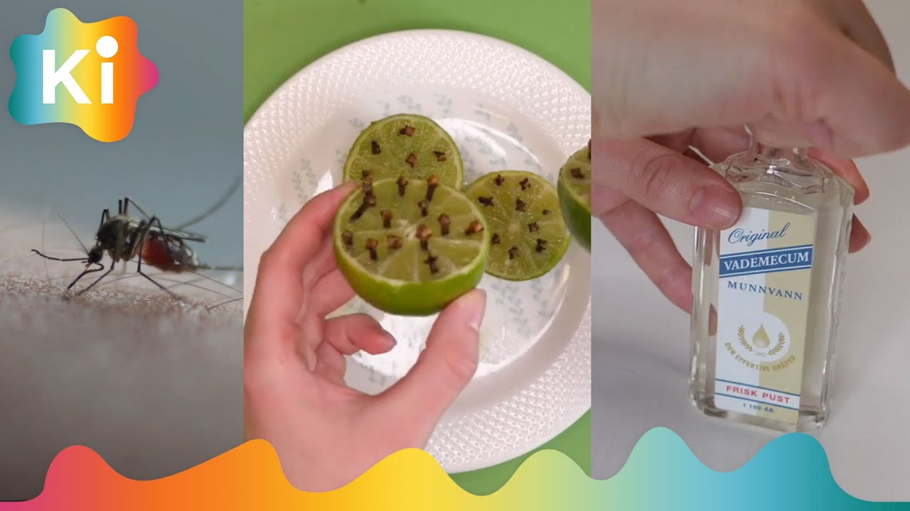 4 smarte tips mot mygg
