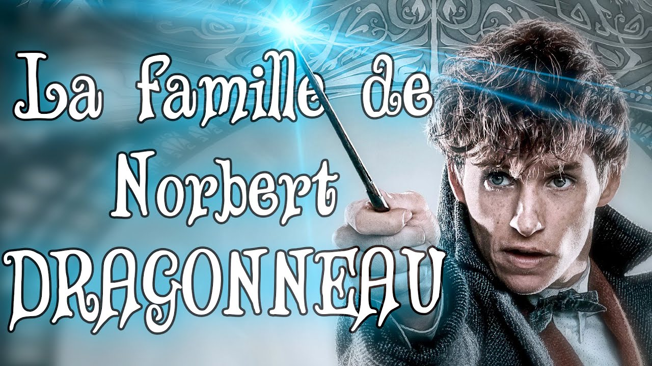 l'Histoire de la famille DRAGONNEAU