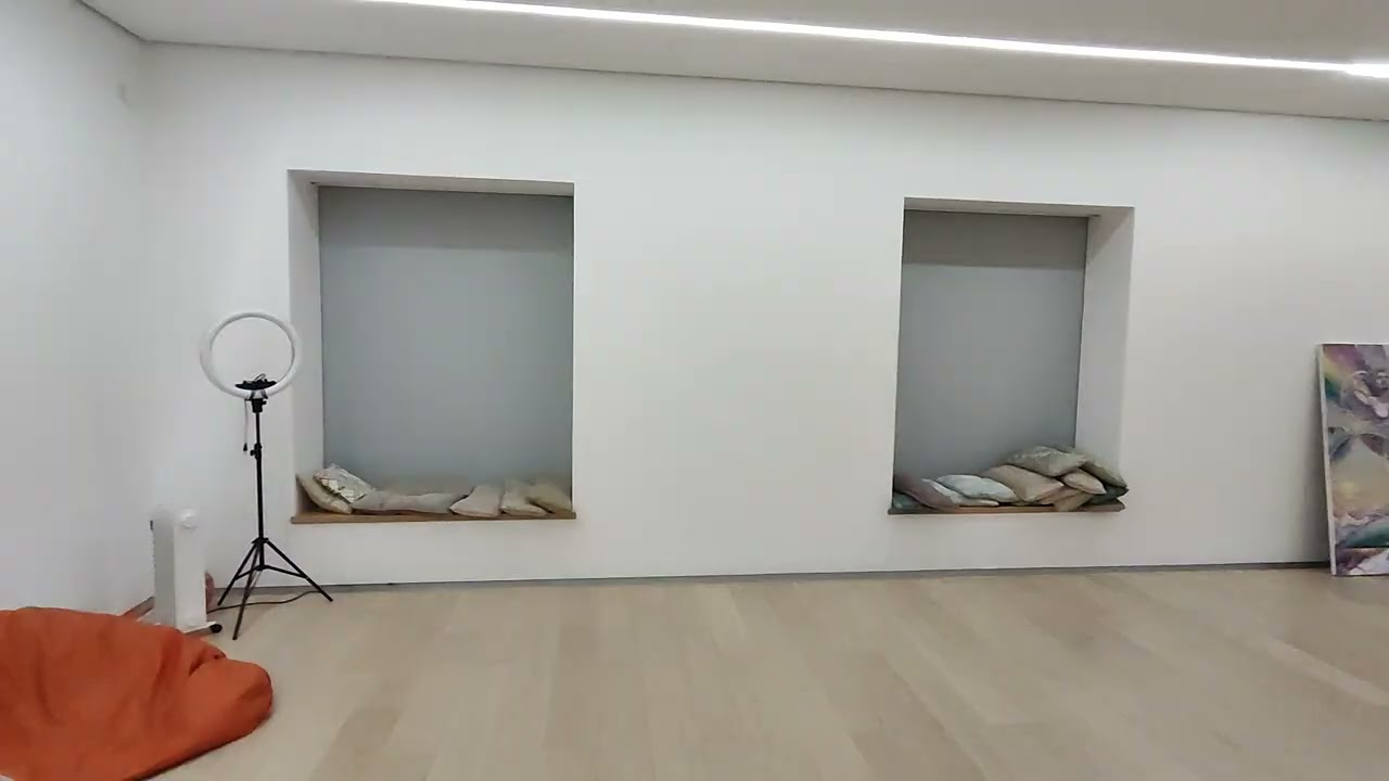 Рулонные шторы с электроприводом, 100% блэкаут. Кассетная система для проемов. Компания СВИЛ.