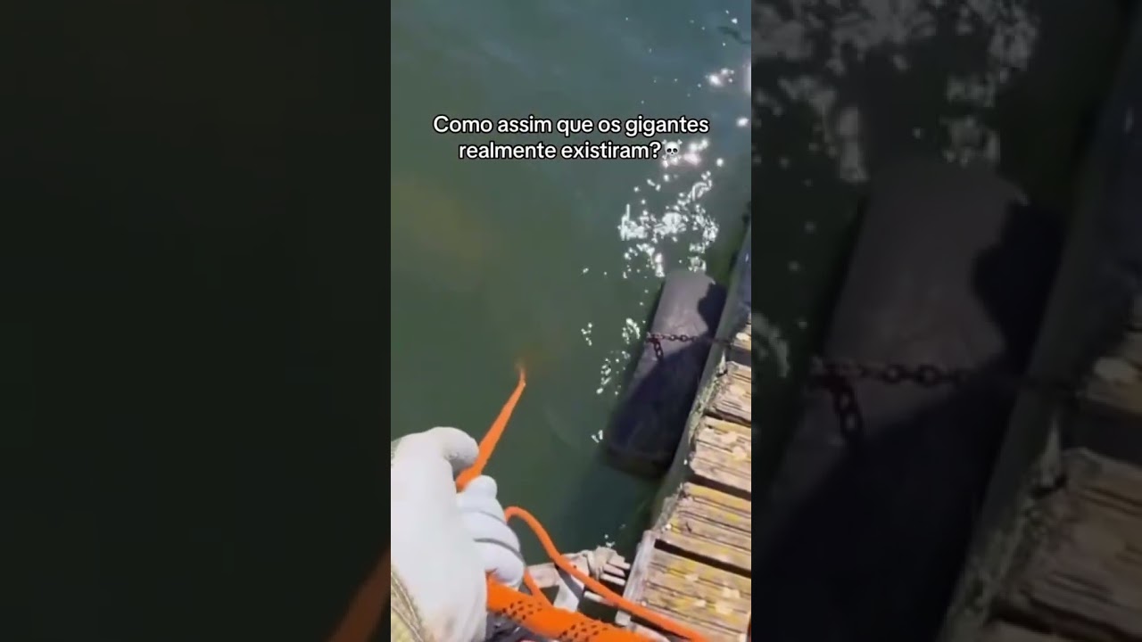 Os gigantes realmente existiram??