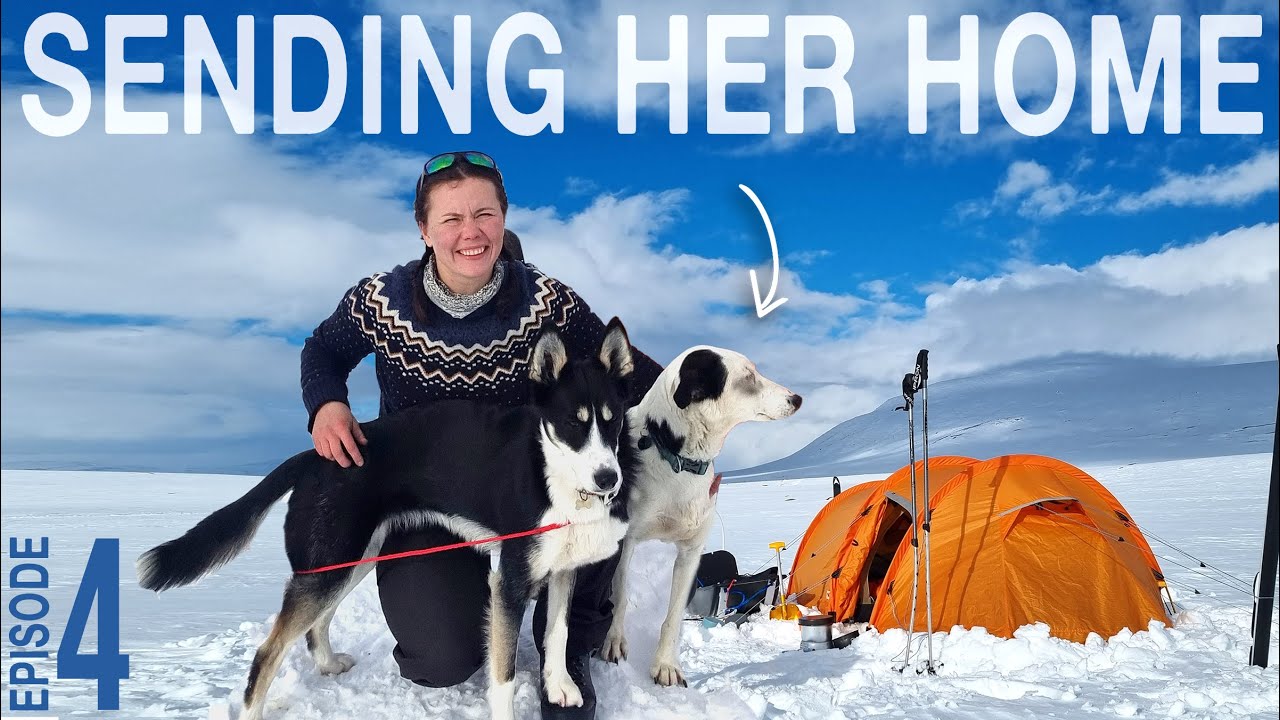 Hard decisions on 26-day solo winter hike with 2 dogs // Ep 4 of Skiing the Kungsleden