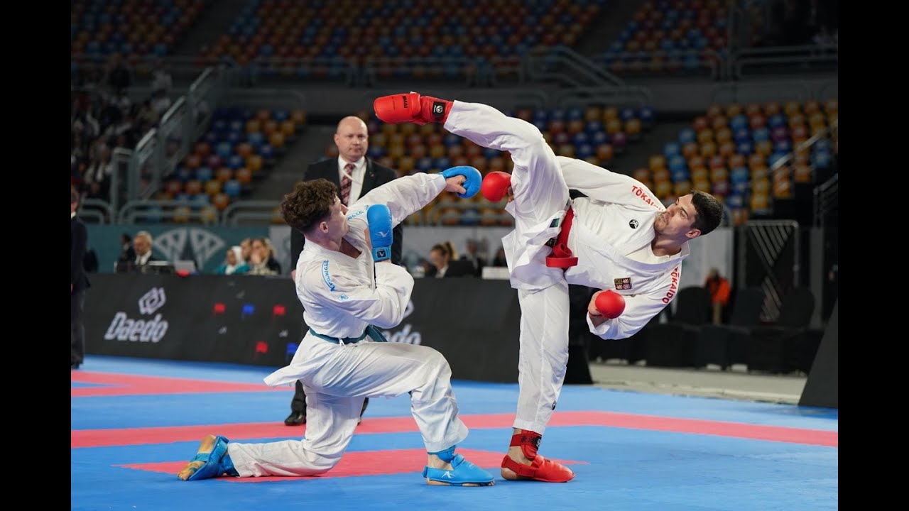 Mistrovství světa v karate 2025