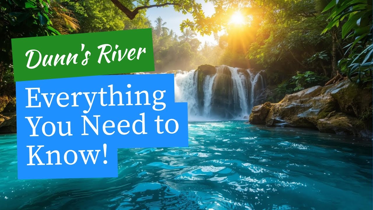 Dunn's River Falls: everything you need to know in under 5 minutes