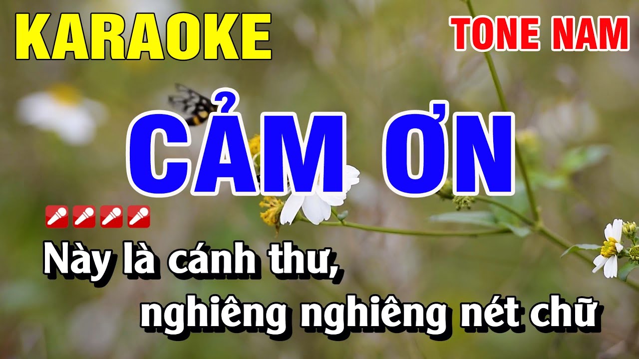 Karaoke Cảm Ơn Tone Nam Nhạc Sống | Nguyễn Linh