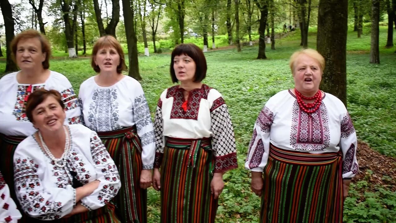 А журавлі летять