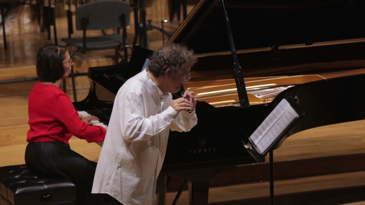 J.Brahms: HUNGARIAN DANCE  No 6 (piccolo version)