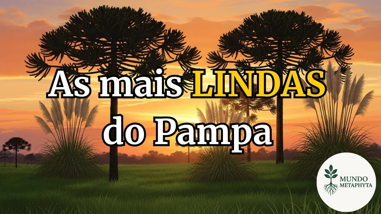 As 8 Plantas Mais Bonitas do Pampa! 🌾 Pérolas dos Campos