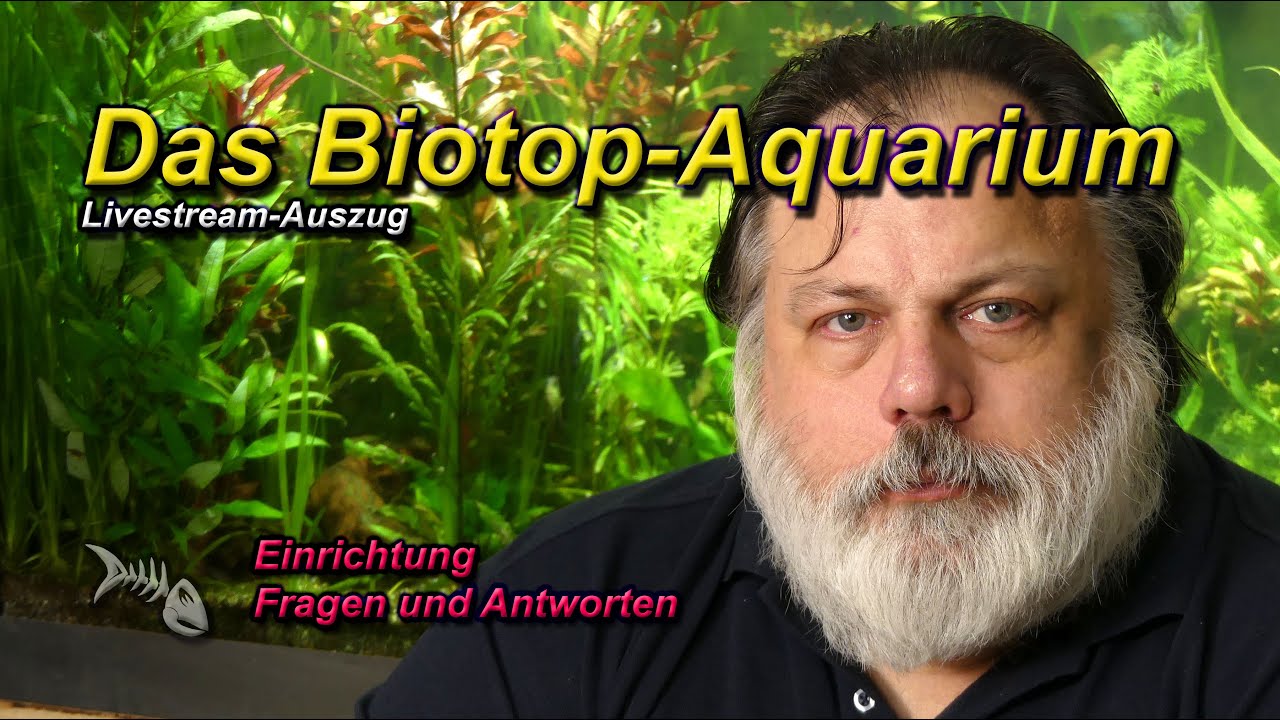 Wie eng muss man Biotop-Aquaristik betreiben? Was denkst du dar&uuml;ber?