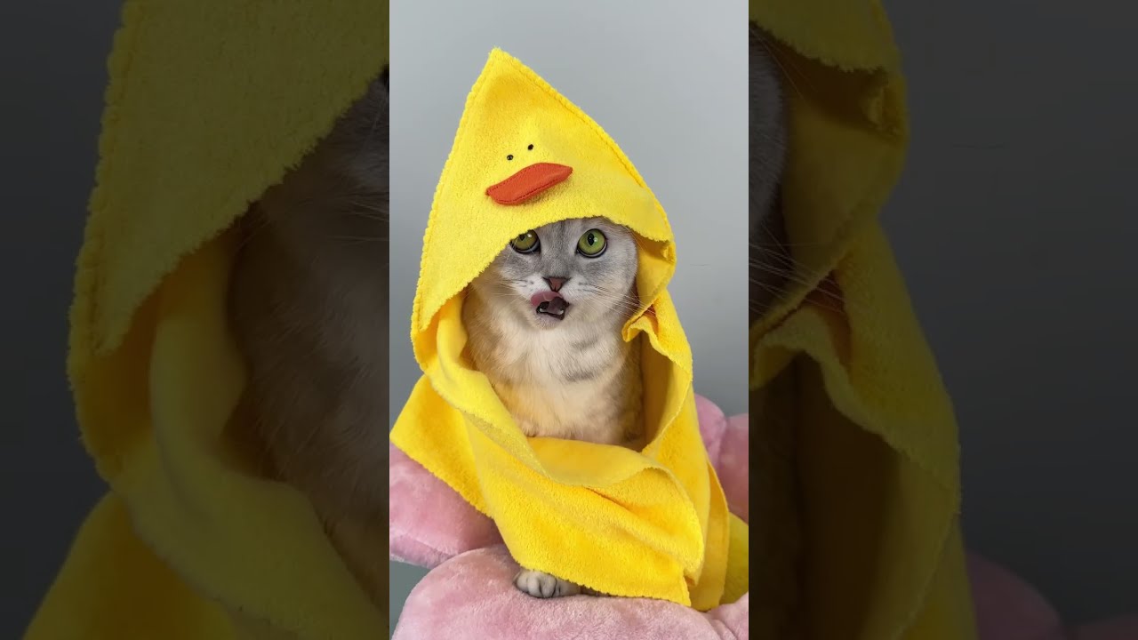 У Сони Spa Day 🛁 Все для этого можно найти на Ozon 🙀 Там как раз грандиозная распродажа! Успевай!