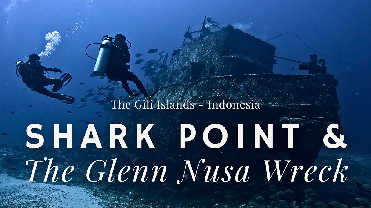Shark Point & The Glenn Nusa Wreck: Sunken Secrets & Shark Encounters #scubadiving #giliair
