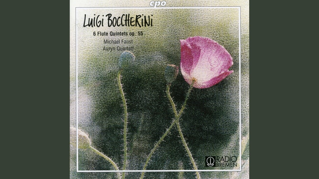 Flute Quintet No. 13 in G Major, Op. 55 No. 1, G. 431: II. Allegretto