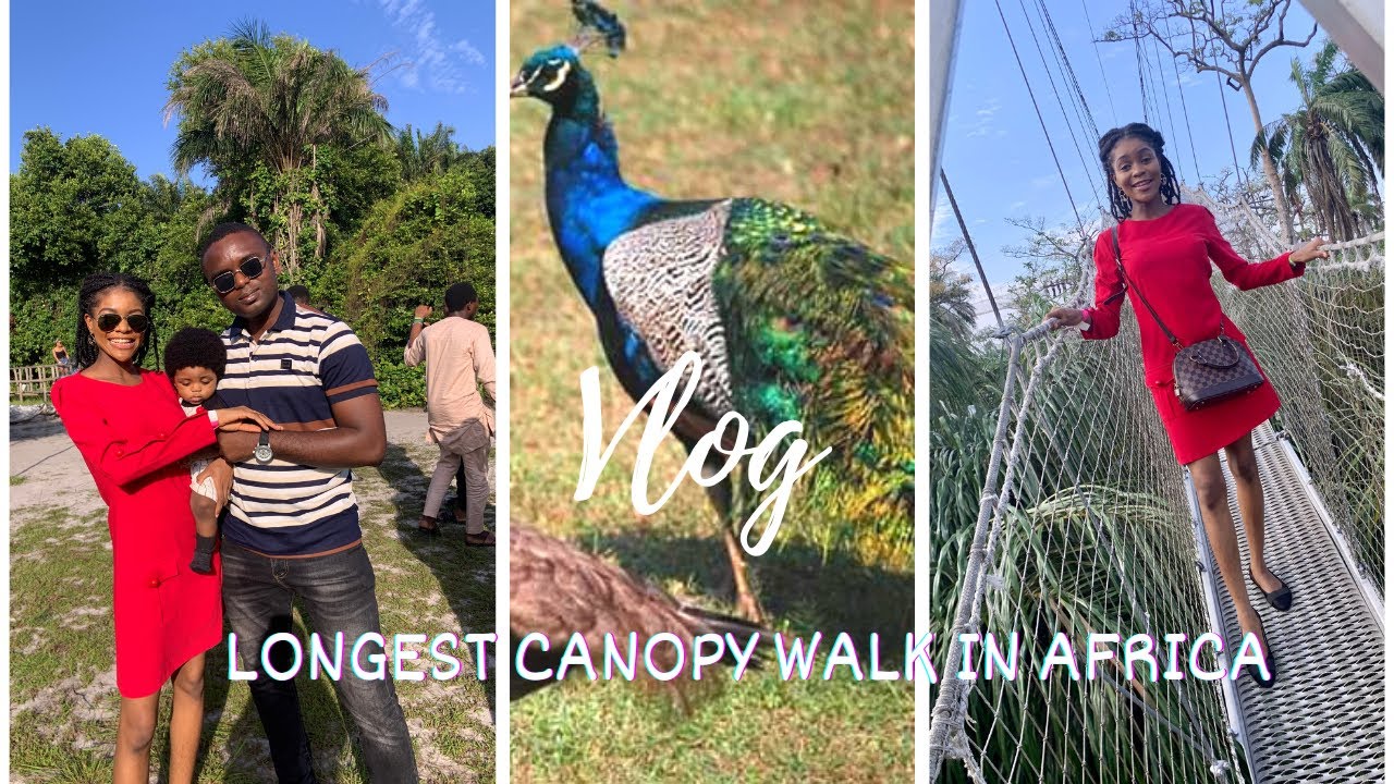 SCARY LONGEST CANOPY WALK IN AFRICA 😧| LEKKI CONSERVATION CENTER