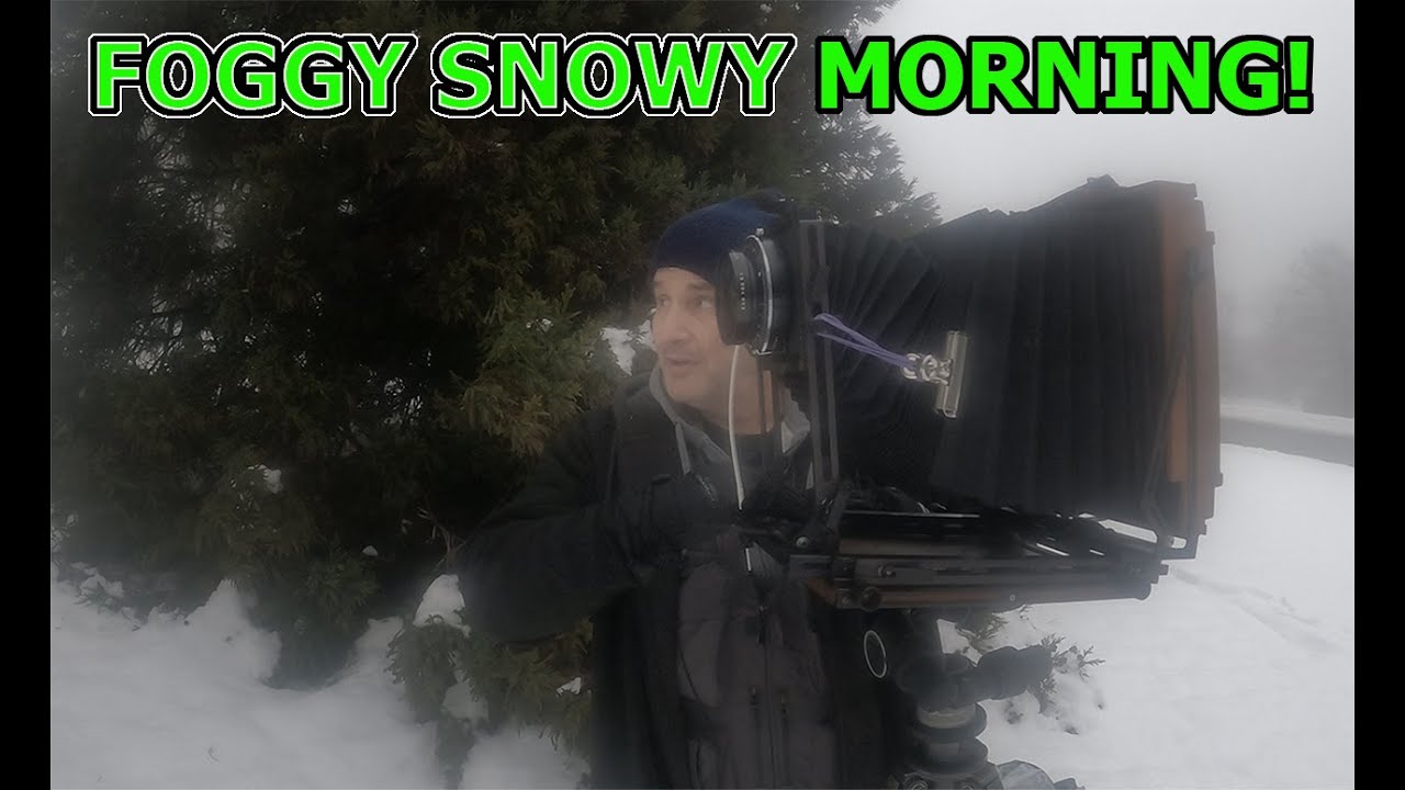 Large Format Photography: Foggy, Snowy Morning!