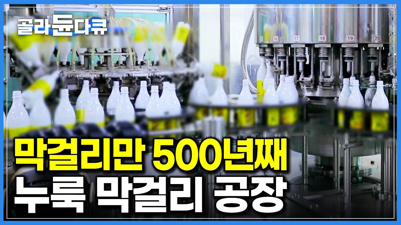 막걸리만 500년째! 대대로 내려온 전통방식 그대로 술 빚는 누룩 막걸리 공장｜부산 금정산성 막걸리｜역사 깊은 한국 전통 술 양조장｜극한직업｜#골라듄다큐