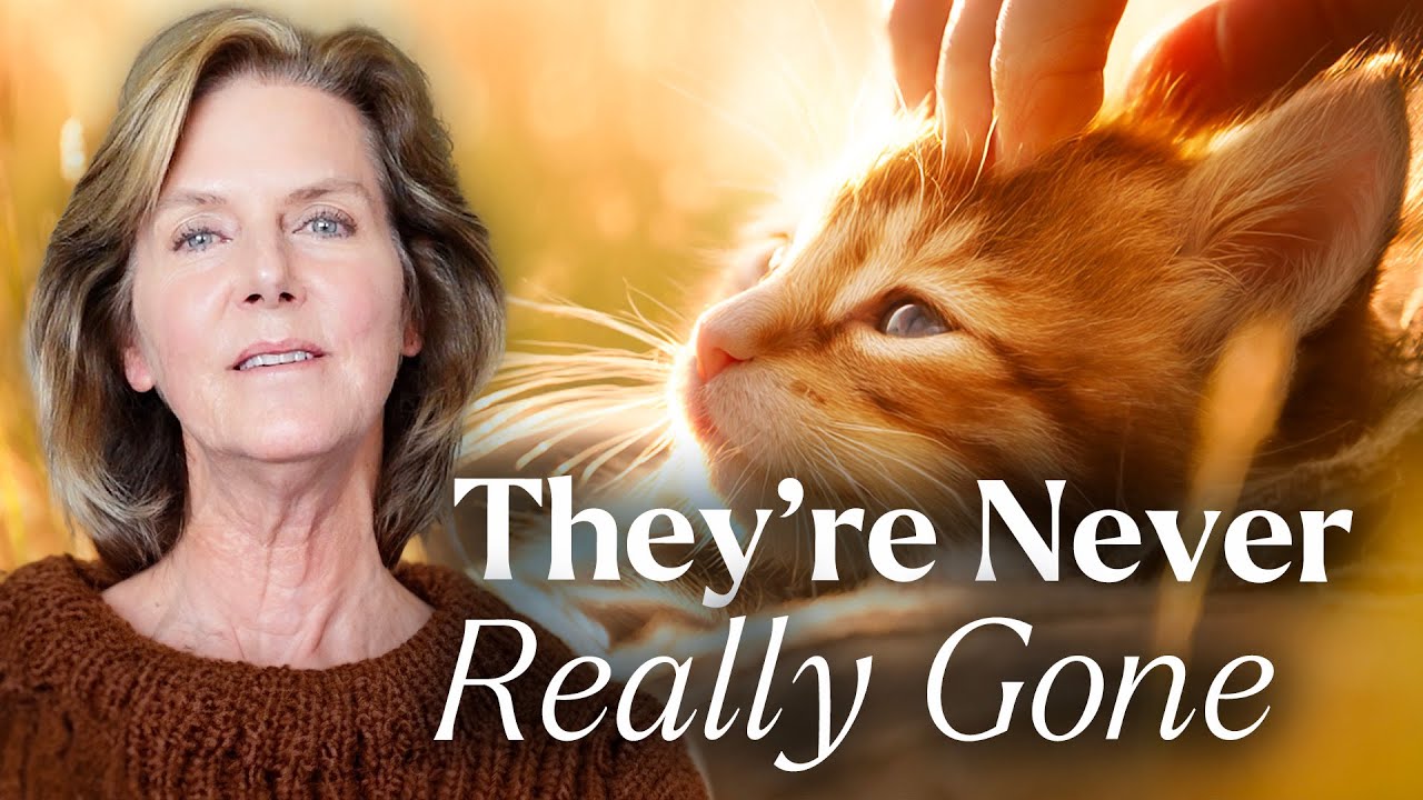 Can You Have a Relationship With a Pet After Their Death? (Steps After Pet Loss)