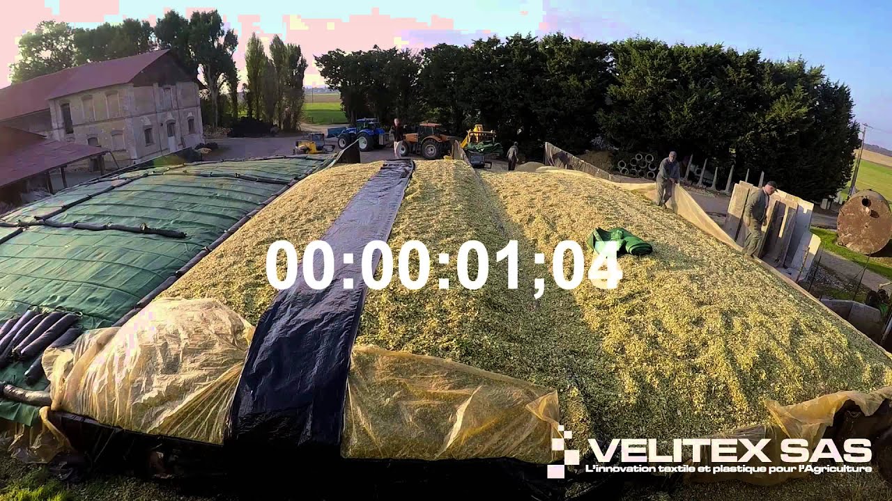 VELITEX 2016