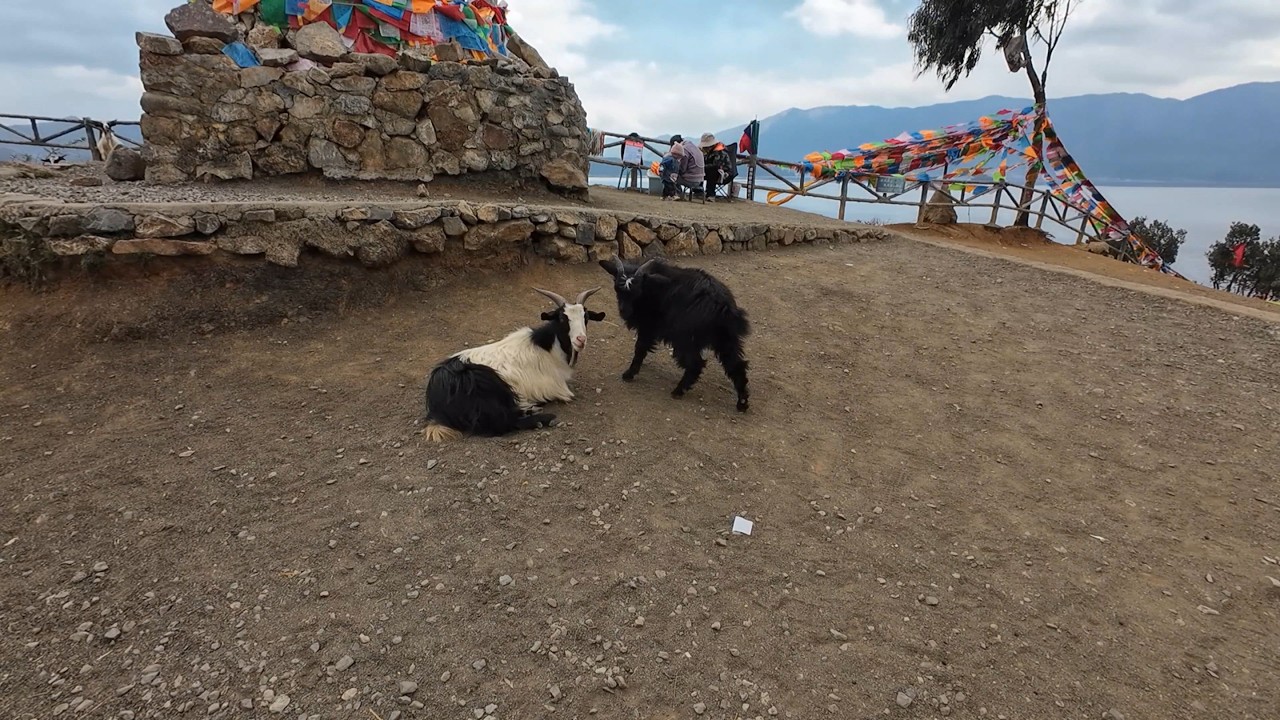 Lugu Lake Travel Guide. Yunnan&rsquo;s Most Peaceful & Stunning Destination | EXPLORE | CHINA
