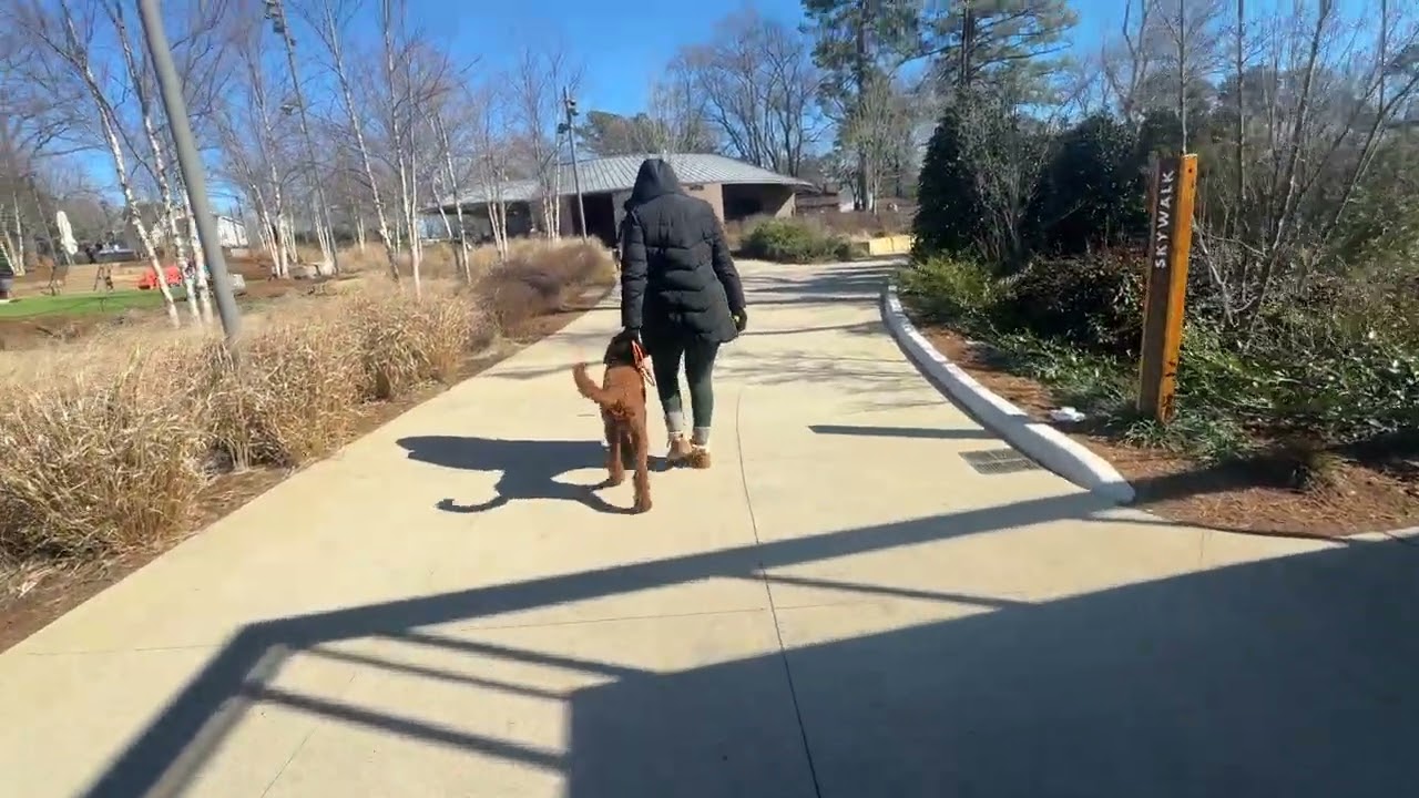 Sadie downtown no sound because of music 