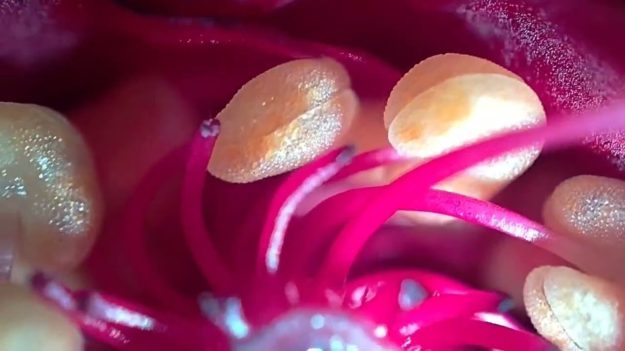 What's under microscope?feel free to comment. #microscope #beauty #cute #nature #love #sweet #tiny