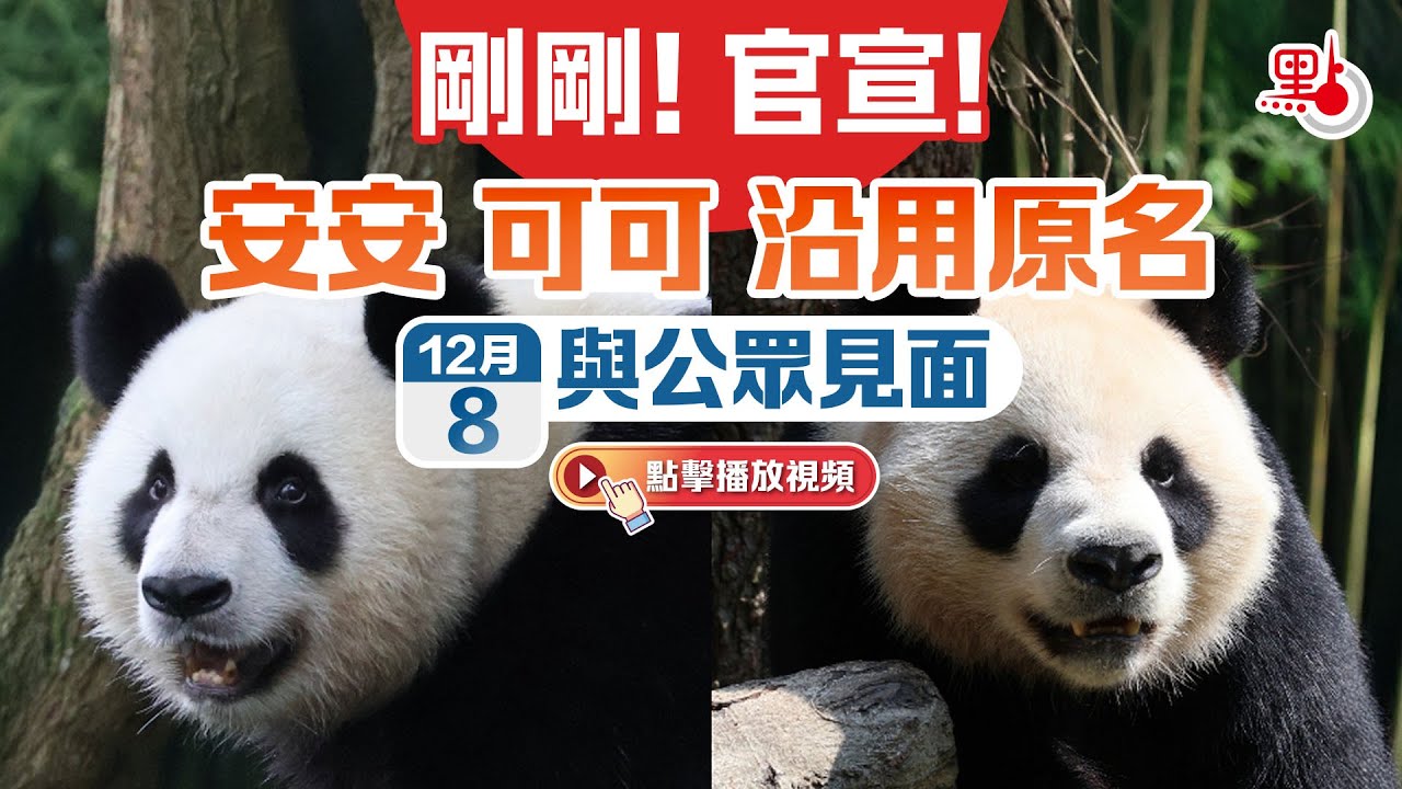 剛剛！官宣！安安可可沿用原名 明日與公眾見面