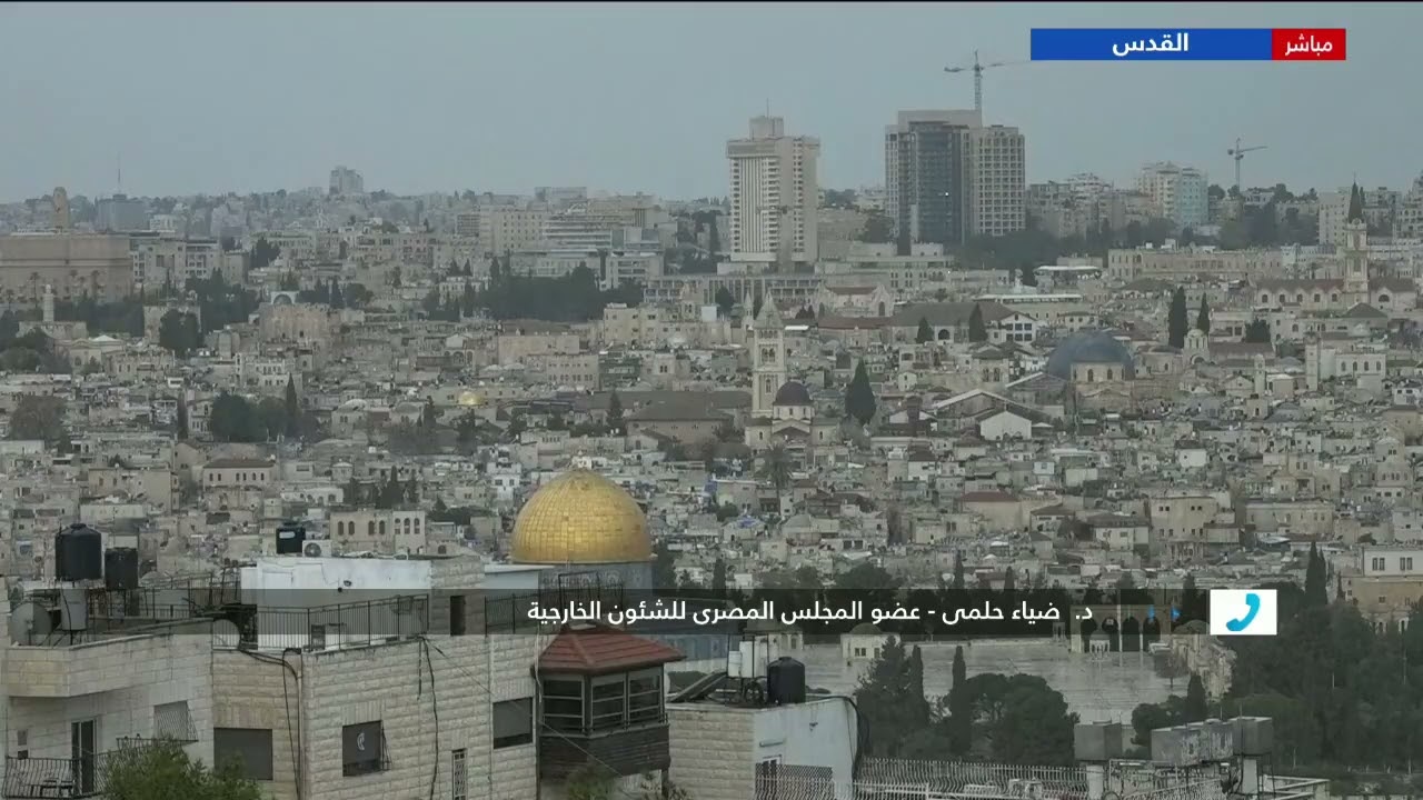 د. ضياء حلمى: ترامب يرى أن التصريحات تعطيه مكانة