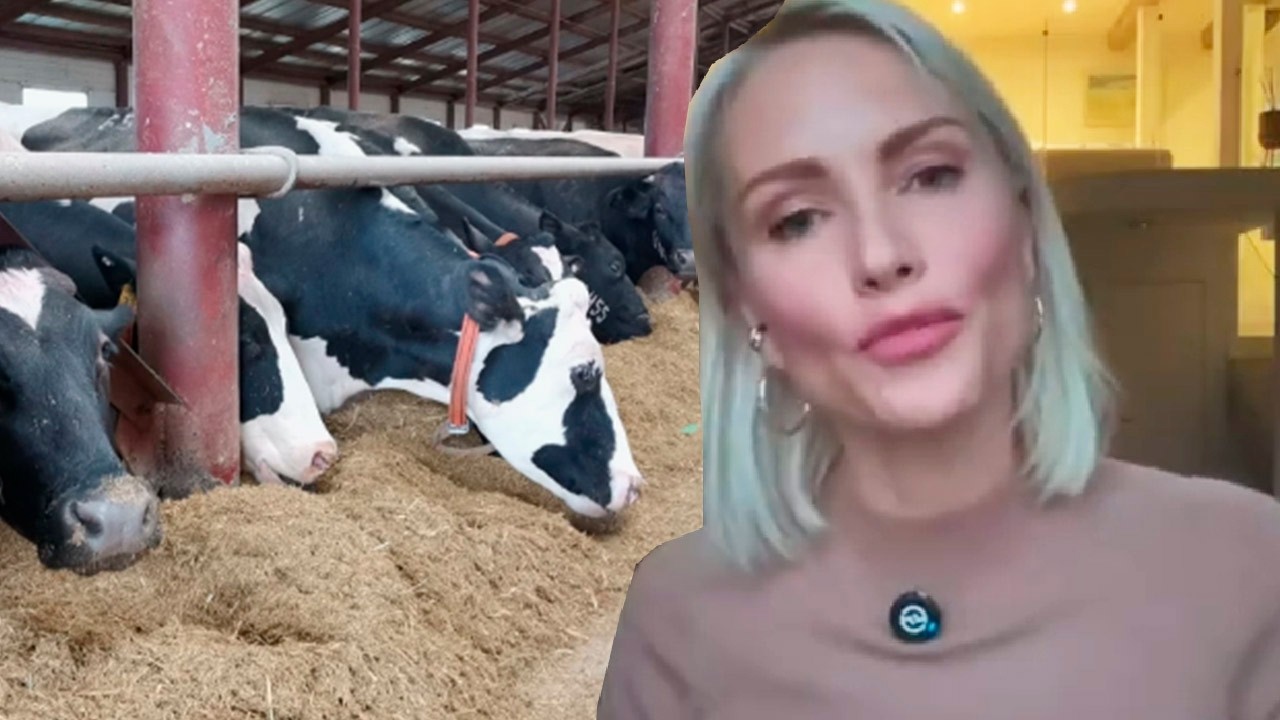 Екатерина Гордон выразила жёсткий протест против изъятия рогатого скота у населения