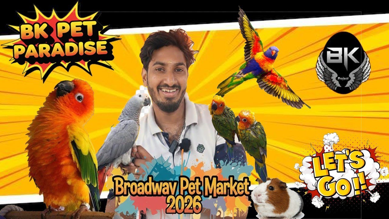 Exploring BK Pet Paradise at Chennai’s Iconic Broadway Pet Market
