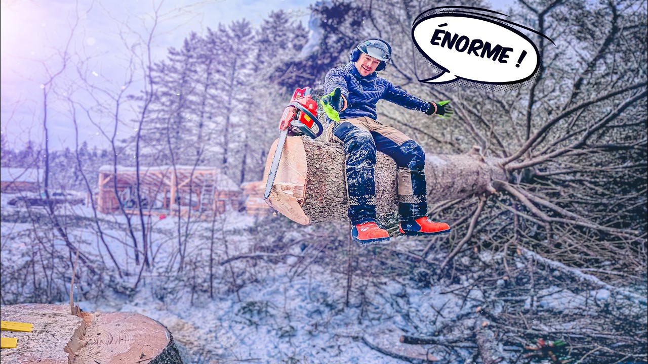 🌲 Mon plus gros arbre à vie... EPIC FAIL ! 💥😂