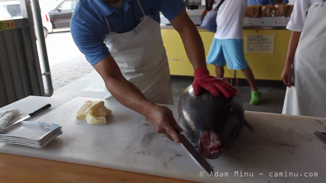 How to cut a tuna for sashimi