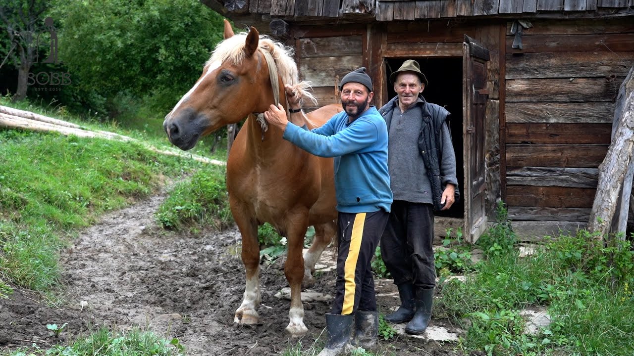 Bătrân de 84 de ani și cei 2 fii trăiesc IZOLAȚI în MUNȚI | O lume pe care CIVILIZAȚIA a uitat-o