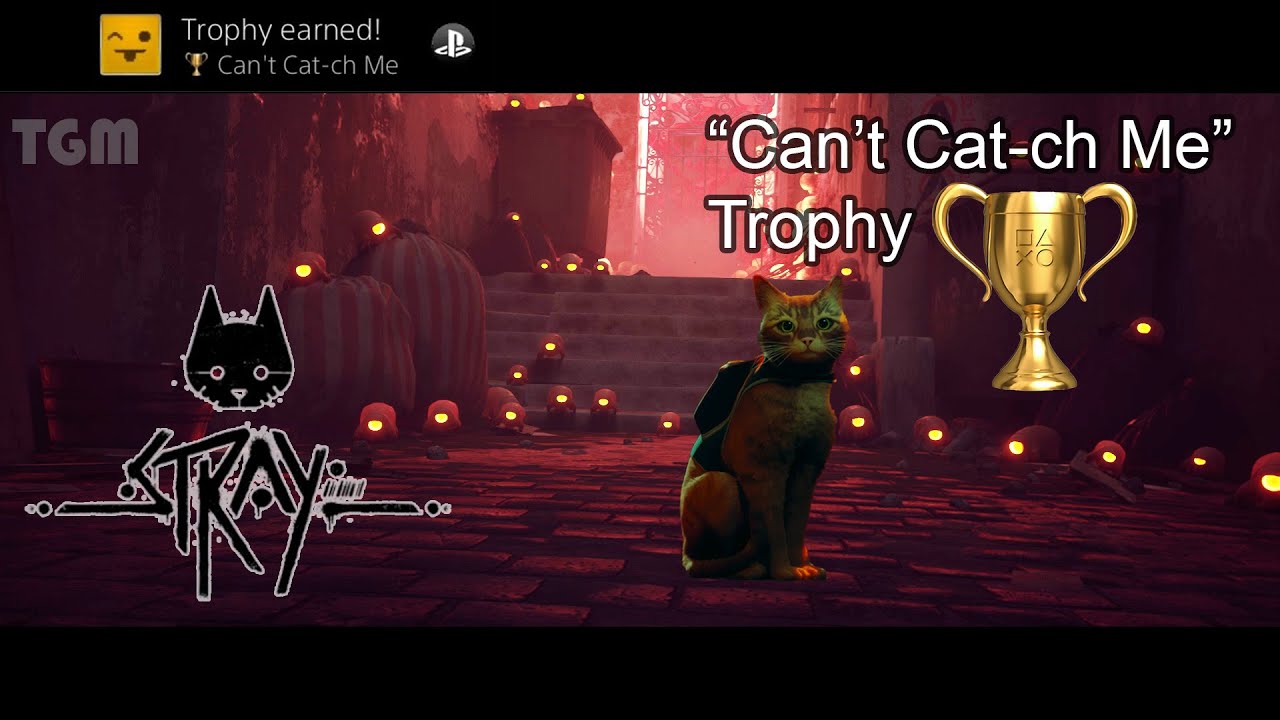 Stray - Can't Cat-ch Me Trophy - Complete the first Zurk pursuit without being caught | PS4 PS5 PC