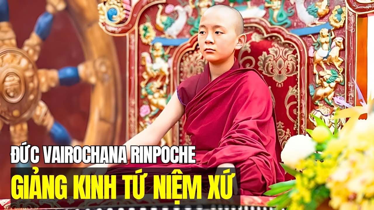 Rất dễ thiền định khi nghe b&agrave;i Ph&aacute;p cực hay của Đức Vairochana Rinpoche về Kinh Tứ Niệm Xứ