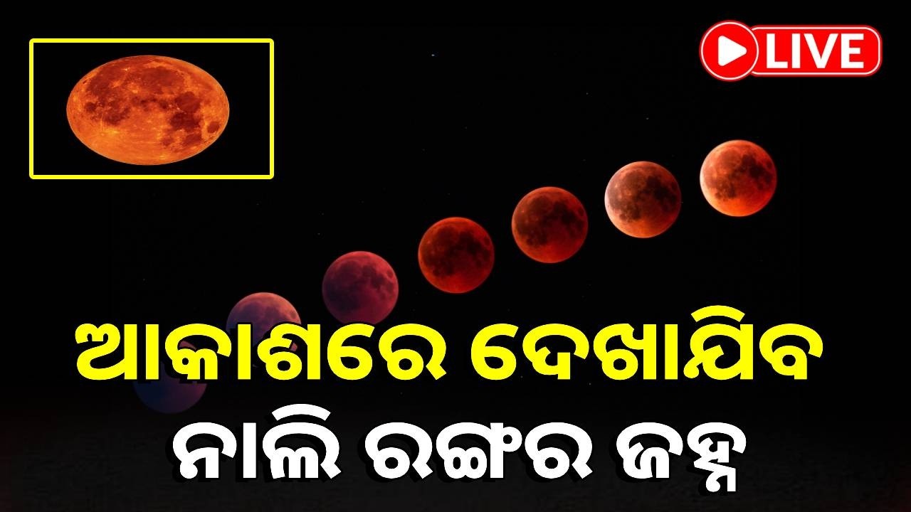 🔴LIVE : କାଲି ଦୋଳପୂର୍ଣ୍ଣିମାରେ ବିରଳ ଅତି ପୂର୍ଣ୍ଣ ଚନ୍ଦ୍ରଗ୍ରହଣ || Kalinga TV Digital