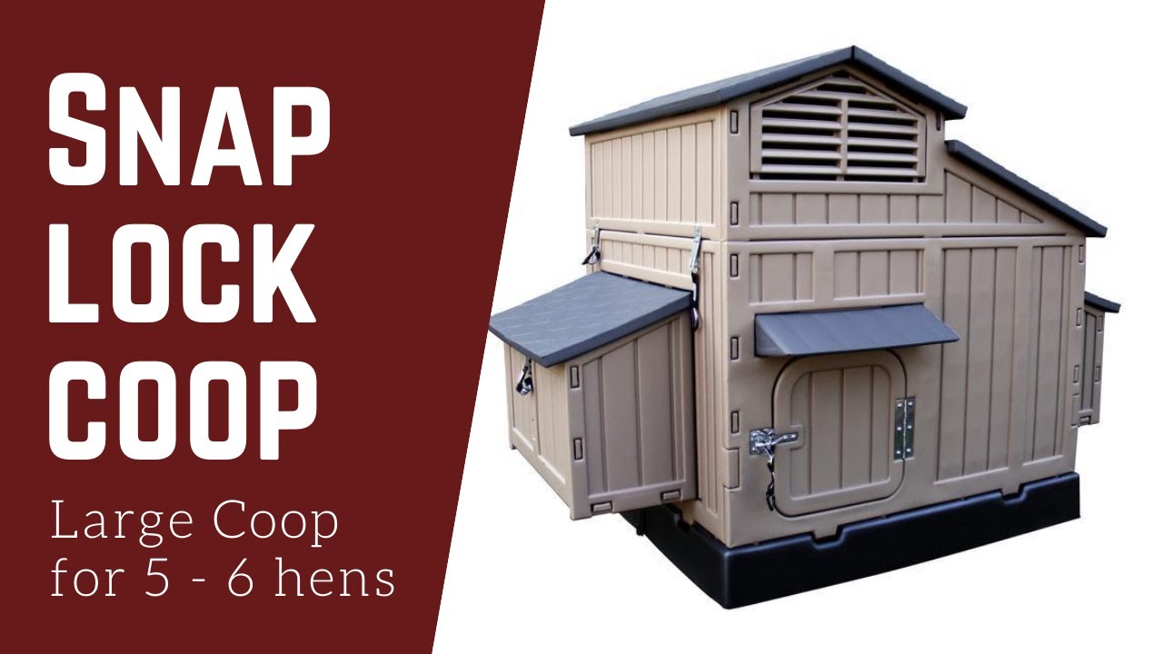 Large chicken coop from SnapLock