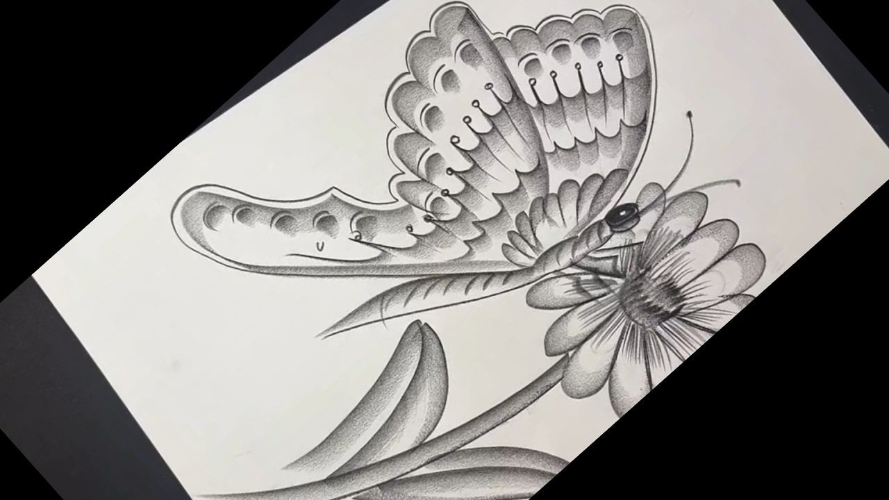 Realistic Butterfly Drawing Step by Step || Pencil Shading Technique