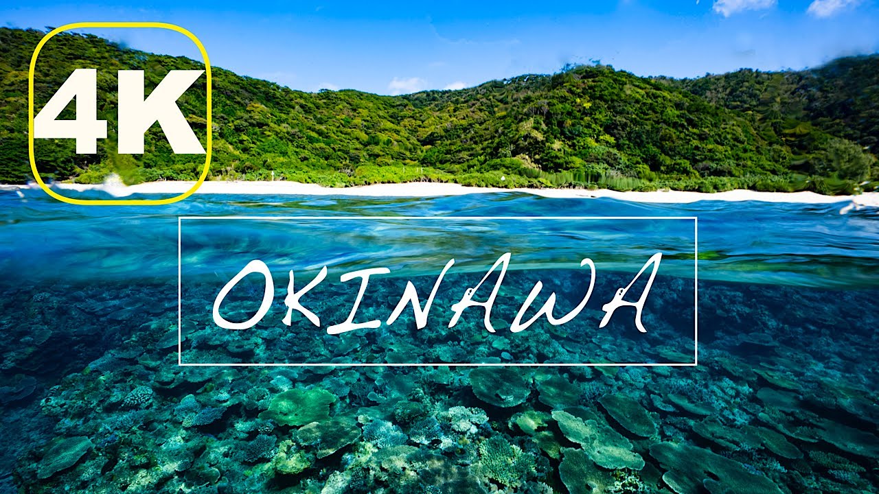 【ダイビング4K映像】沖縄の海に癒される！作業用水中動画(水中音のみ)
