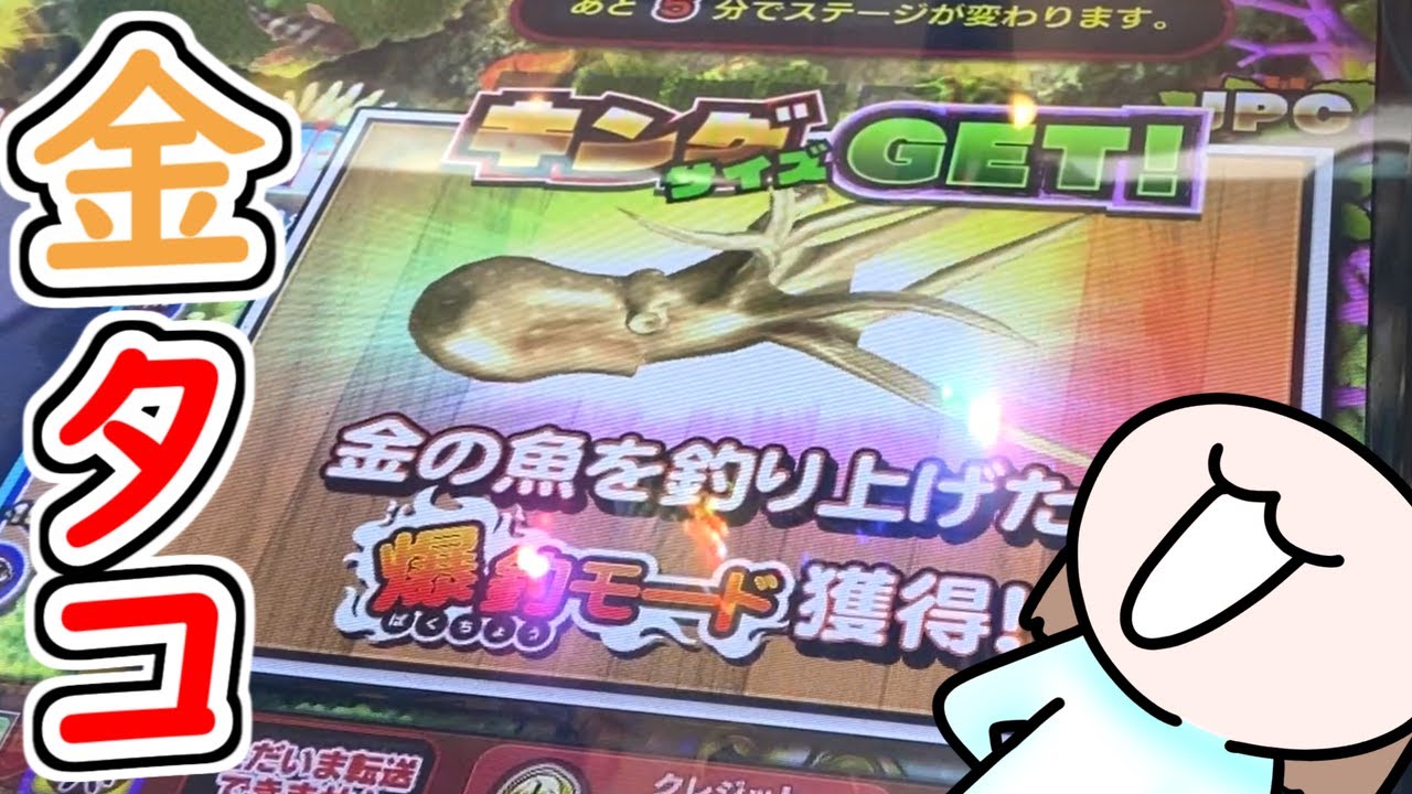 金色の魚が釣れたら…むふふな展開おなしゃぁぁす!!【メダルゲーム】