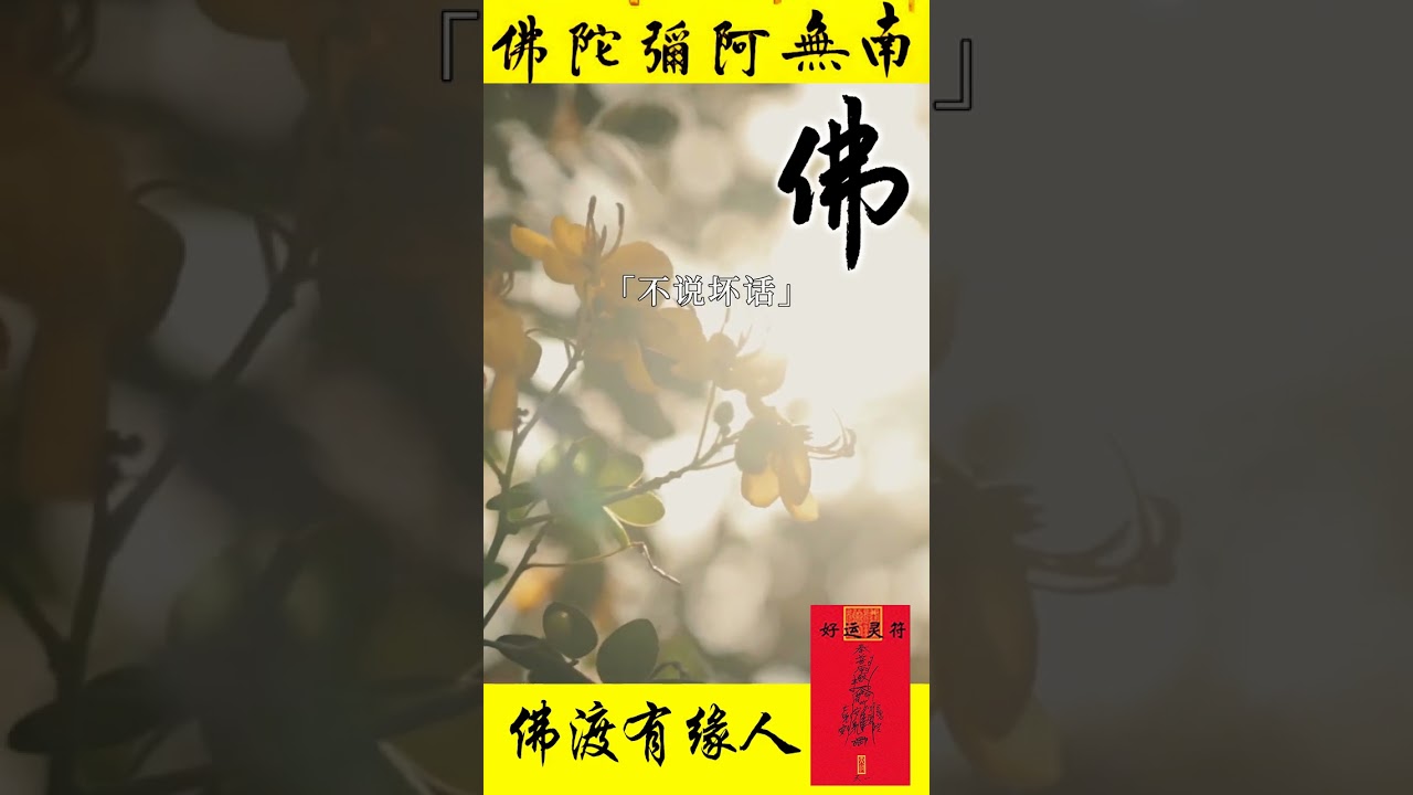 人道40三不比三不言，三不争，人有三不比，不比钱财，不比儿孙，不比婚姻。#佛教 #佛學 #治愈 #祝福#正能量 #修心修行 #阿彌陀佛 #智慧人生 #禪意 #禪語 #国学